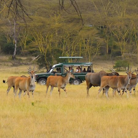 Lake Elmenteita Serena Camp المظهر الخارجي الصورة