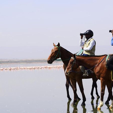 Lake Elmenteita Serena Camp المظهر الخارجي الصورة