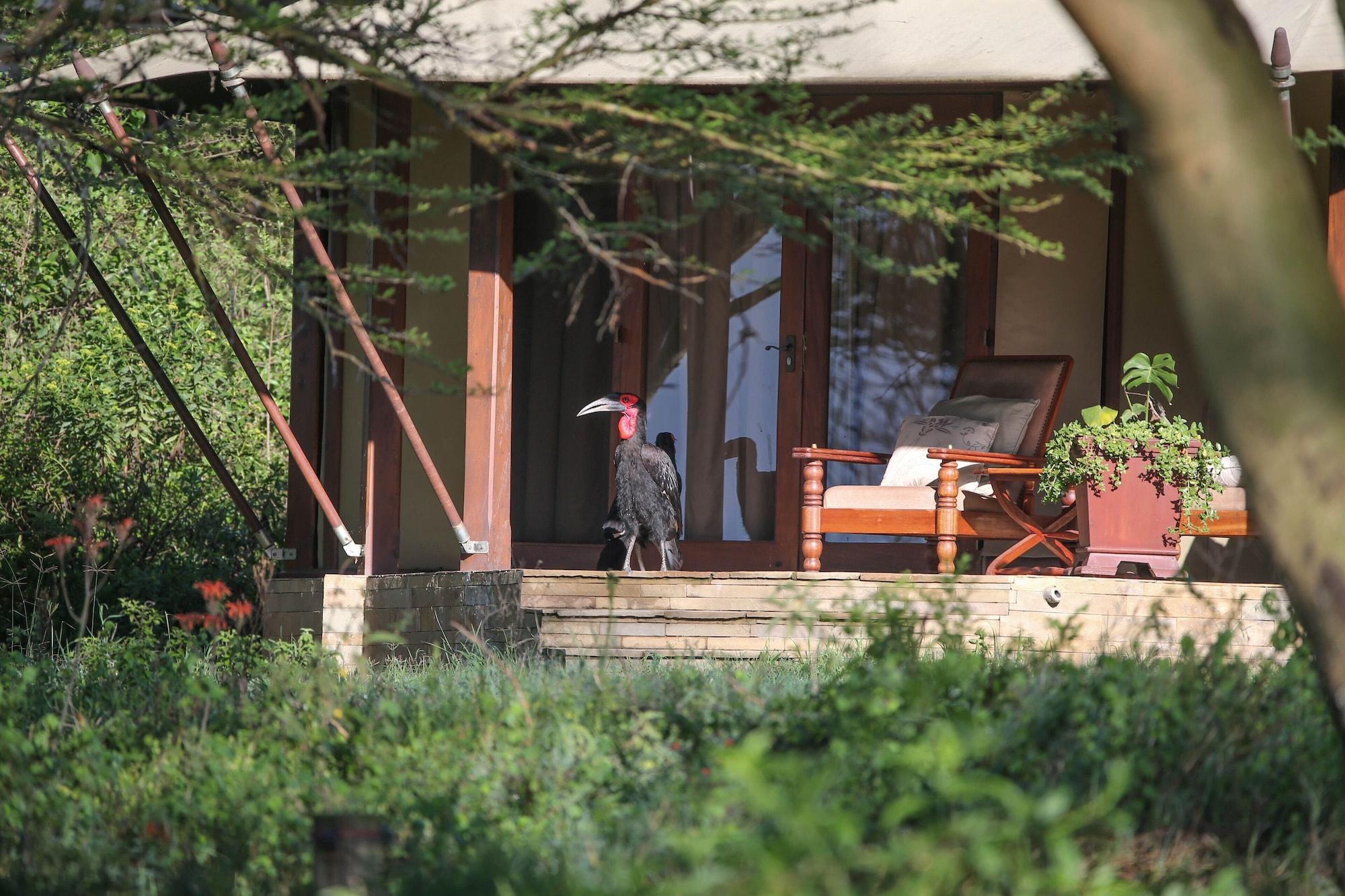 Lake Elmenteita Serena Camp المظهر الخارجي الصورة