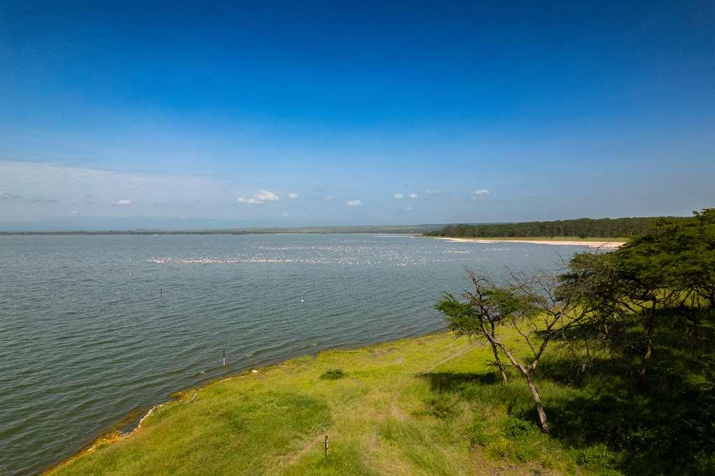 Lake Elmenteita Serena Camp المظهر الخارجي الصورة