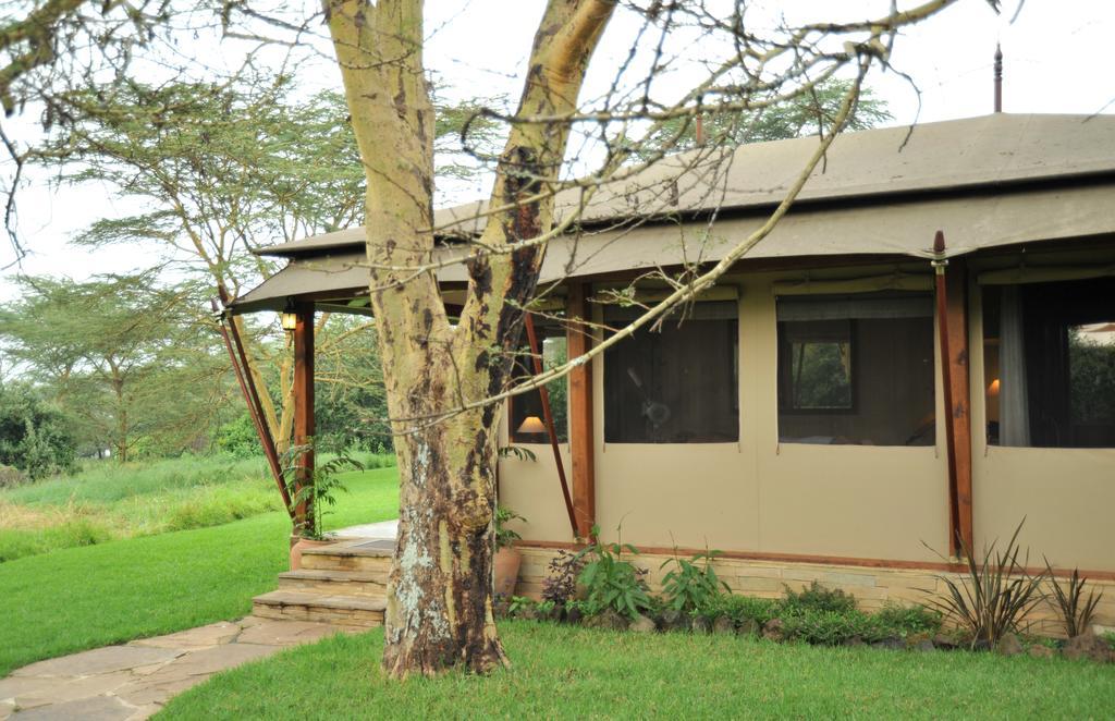 Lake Elmenteita Serena Camp المظهر الخارجي الصورة